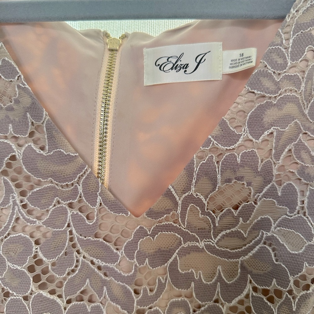 Plus Size Elsa J Pink Lace Dress